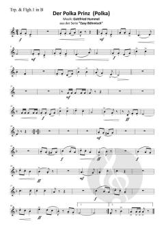 Der Polka Prinz (Polka) von Gottfried Hummel 