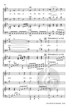 The Poetry of Promise von Joseph M. Martin 