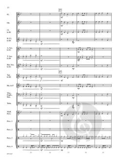 The Lizard King von Aaron McMichael 