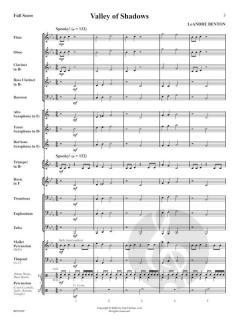 Valley of Shadows von LeAndre Benton 