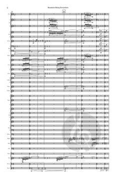 Mountains Rising Everywhere von Paul Rudy 