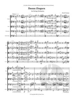 Danza Zingara von David Campo 