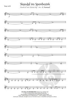 Skandal im Sperrbezirk von Günther Sigl 