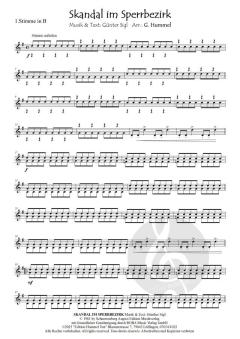 Skandal im Sperrbezirk von Günther Sigl 