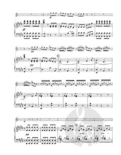 Hornkonzert E-Dur Murray C51 von Antonio Rosetti für Horn und Klavier