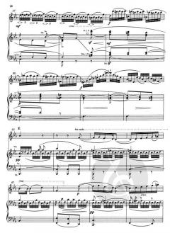 Violinkonzert Nr. 1 g-Moll op. 26 von Max Bruch für Violine und Orchester im Alle Noten Shop kaufen