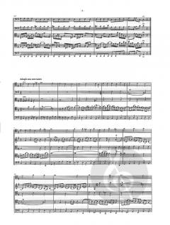 Brandenburgisches Konzert Nr. 6 BWV 1051 von Johann Sebastian Bach 