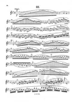 42 Etüden von Rodolphe Kreutzer 