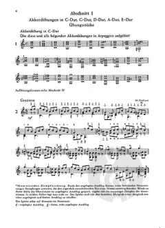 Der Weg zum Solospiel auf der Gitarre von Ursula Peter 