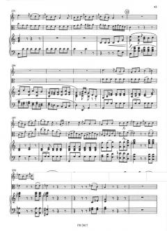 Konzert C-Dur von Anton Wranitzky 