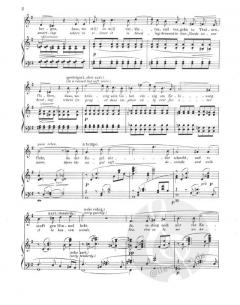 Wesendonck-Lieder WWV 91 A von Richard Wagner 