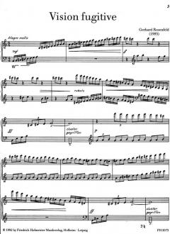 Vision fugitive von Gerhard Rosenfeld 