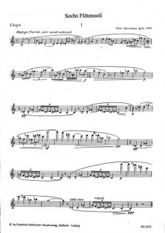 Sechs Flötensoli von Peter Herrmann im Alle Noten Shop kaufen