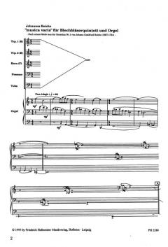 musica varia von Johannes Reiche 