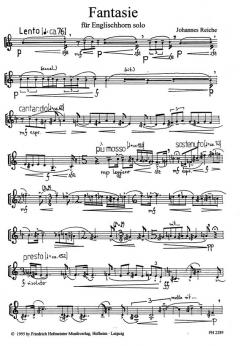 Fantasie von Johannes Reiche 