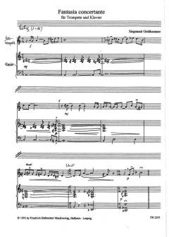 Fantasia concertante von Siegmund Goldhammer 