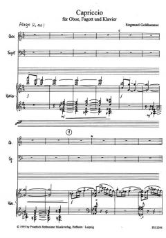 Capriccio von Siegmund Goldhammer 