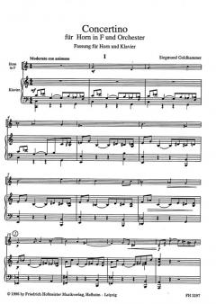 Concertino für Horn und Orchester von Siegmund Goldhammer im Alle Noten Shop kaufen