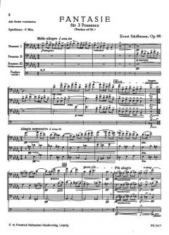 Fantasie, op. 66 von Ernst Schiffmann 