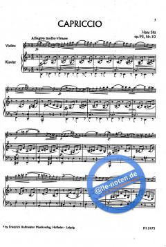 Fantasien auf 6 Saiten von Klaus Hambach 