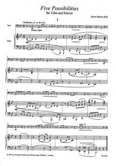 5 Possibilities von Horst Meyer-Selb 