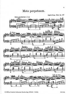 2 Klavierstücke, op. 22 von Sigfrid Karg-Elert im Alle Noten Shop kaufen