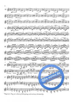 Daily Drills and Technical Studies von Max Schlossberg 