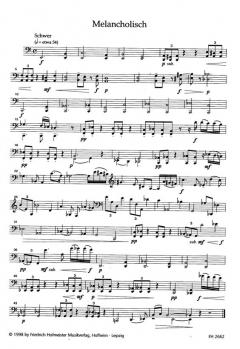 Vier Temperamente von Rainer Lischka 