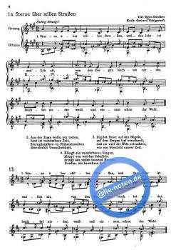 Sterne über stillen Straßen von Gerhard Wohlgemuth 