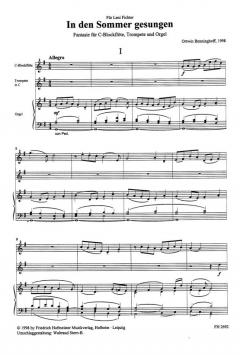 in den Sommer gesungen (Ortwin Benninghoff) 
