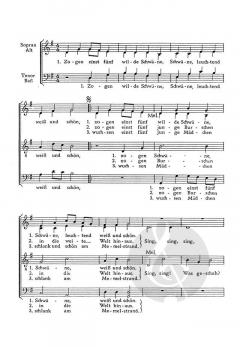 Zogen einst fünf wilde Schwäne (Karl Plenzat) 