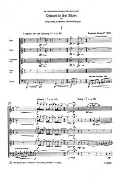 Quintett in 3 Sätzen (Johannes Reiche) 