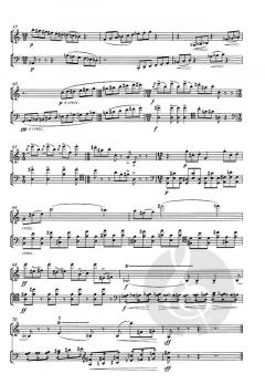 bow'n'blow Duo, op. 20 (Graham Waterhouse) 