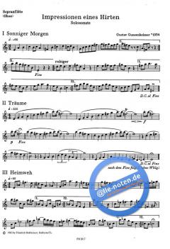 Impressionen eines Hirten (Gustav Gunsenheimer) 