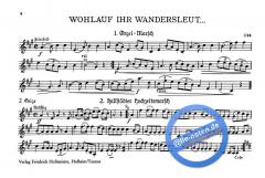 Bauernmusi, 2. Folge, 2. Stimme 