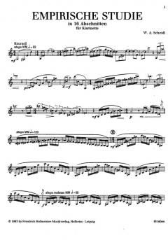 Empirische Studie in 16 Abschnitten von W.A. Scheidl 