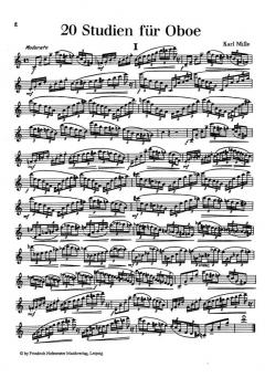 20 Studien von Karl Mille 