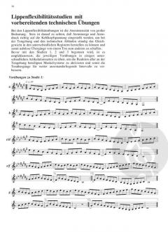 Grundlagenstudien von Hans-Joachim Krumpfer 