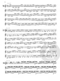 Grundlagenstudien von Hans-Joachim Krumpfer 