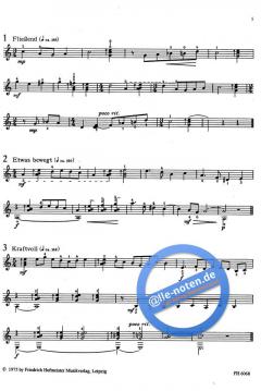 35 Rasgueado-Studien von Franz Just 