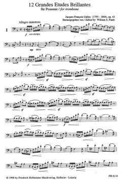 12 Grandes Etudes Brillantes op. 43 von Jacques Francois Gallay 