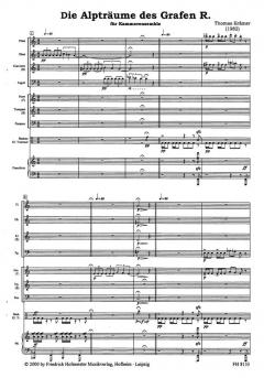 Die Alpträume des Grafen R. (Thomas Krämer) 