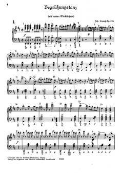 Bunte Tänze Band 11 von Julius Blasche 