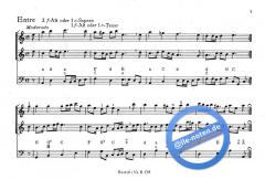 Tänze aus Bachs Zeit 