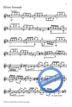 Kleine Serenade von Martin Rätz 