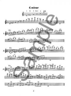 The Technique of the Flute von Joseph Viola 