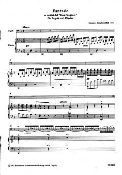 Fantasie von Giuseppe Tamplini 