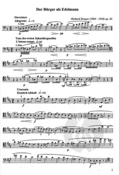 Orchesterstudien für Fagott Heft 11 (Richard Strauss) 