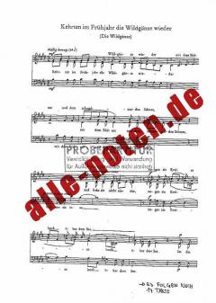 Die Wildgänse (Kehrten im Frühjahr die Wildgänse wieder) (Siegfried Stolte) 