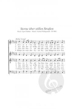 Sterne über stillen Straßen (Gerhard Wohlgemuth) 